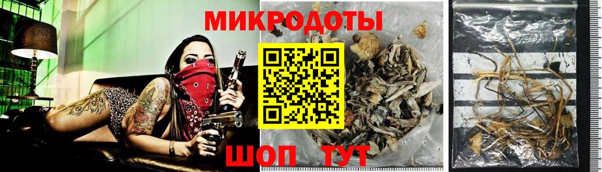 Галлюциногенные грибы MAGIC MUSHROOMS  Псилоцибиновые грибы Psilocybe  Буйнакск  Вход с VPN 
